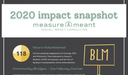 2020 impact snapshot