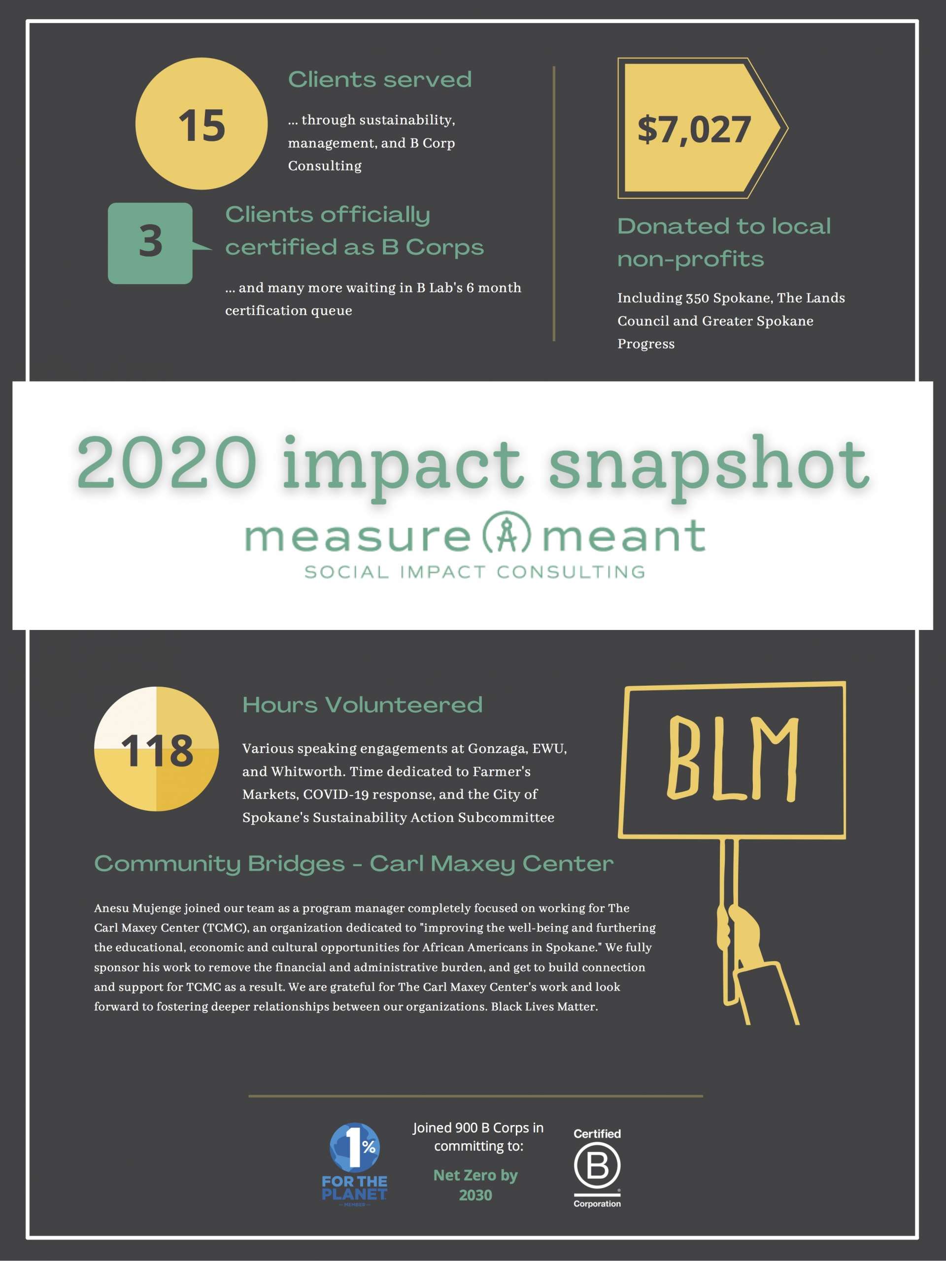 2020 impact snapshot