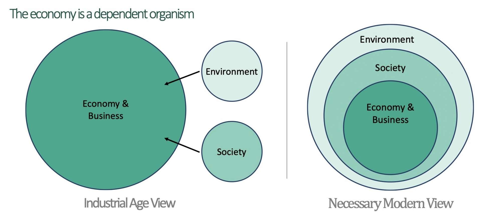 Peter Senge model of environment, society, economy