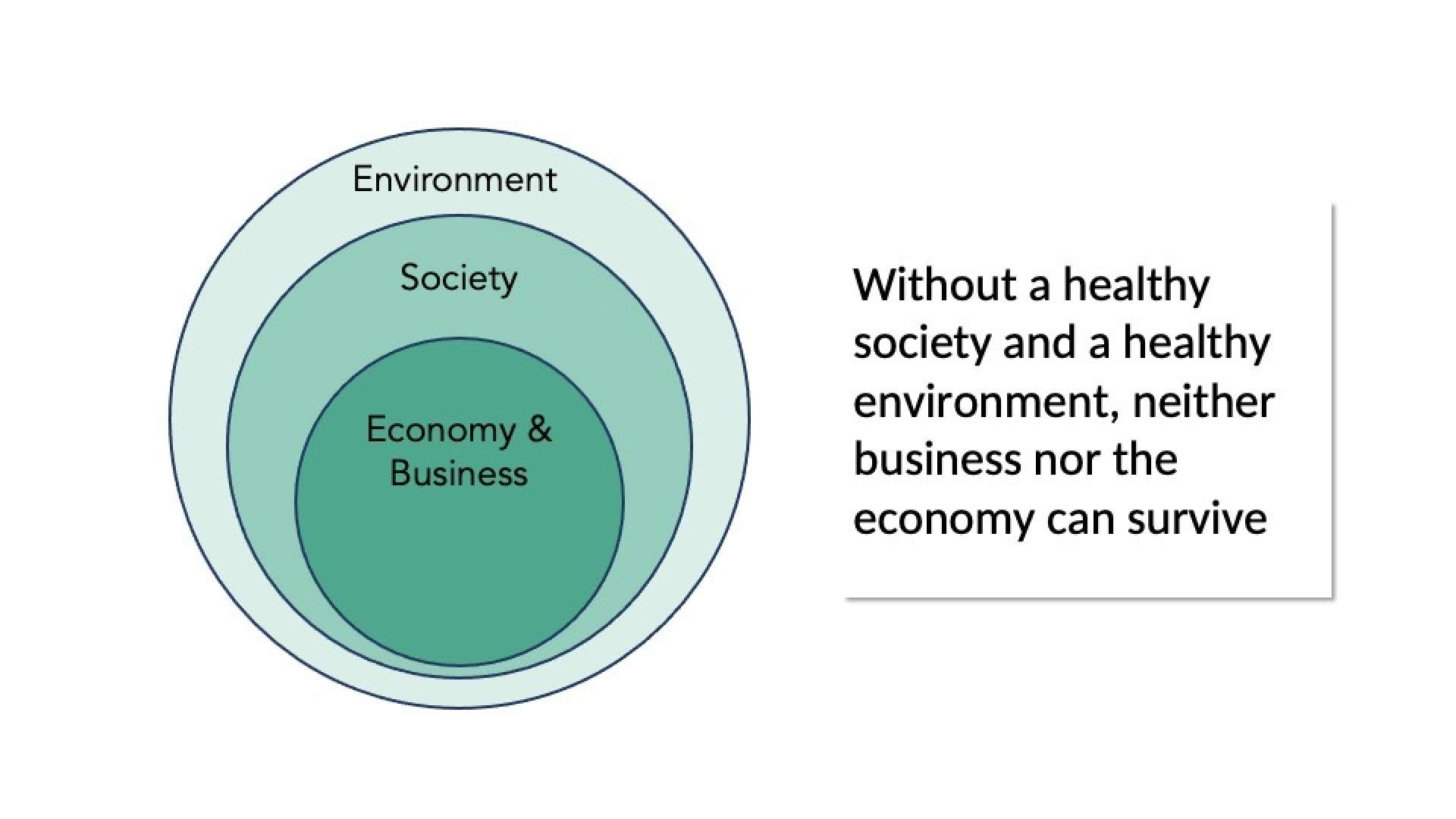 Nested Economy Model - Measure Meant