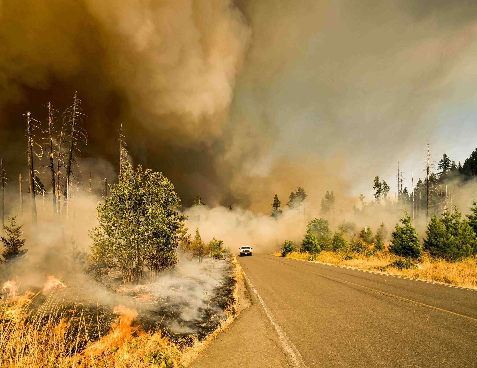 Truck fleeing a forest fire - photo by Marcus Kauffman