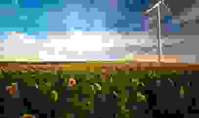Sunflower field with a wind turbine.