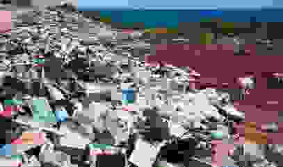 Lush beach covered in garbage