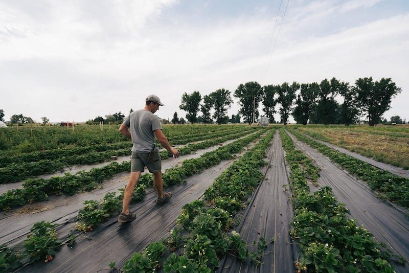 Delivered Value Beyond