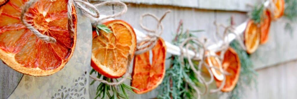 Citrus slices drying on a string outside.