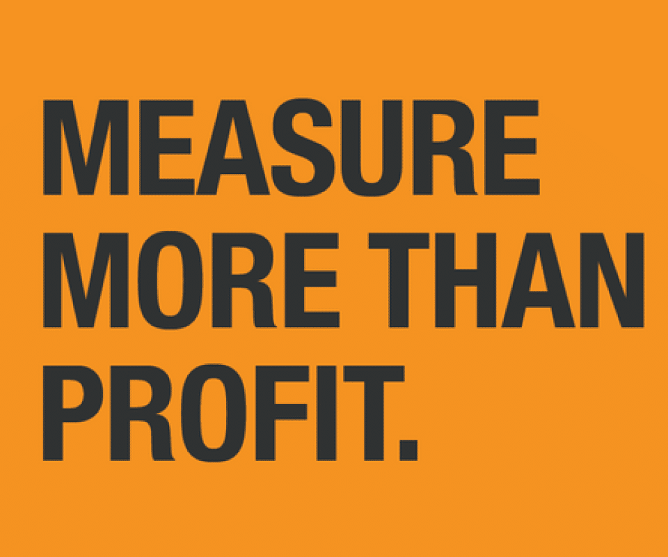 B Corp Measure More than Profit.